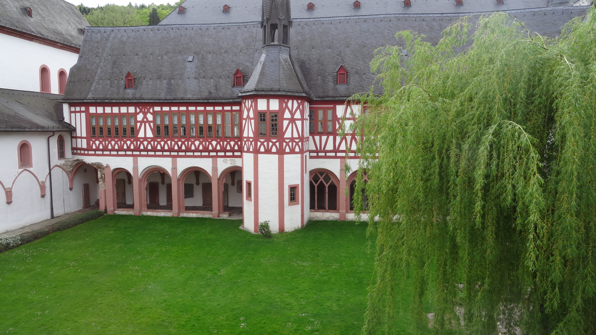 17_DSC00563.JPG 17_DSC00563.JPG